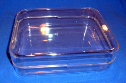 Unhinged Plastic Box (681)