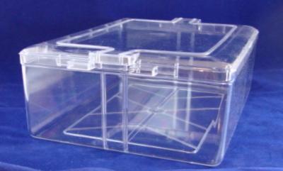 Unhinged Plastic Box (815)