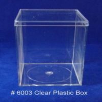 Unhinged Plastic Box (819)