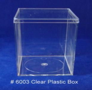 Unhinged Plastic Box (838)
